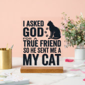 J'ai demandé à Dieu un véritable ami Mon chat desi (Mariage)