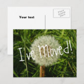 J'ai déplacé la carte postale avec la photographie (Devant / Derrière)