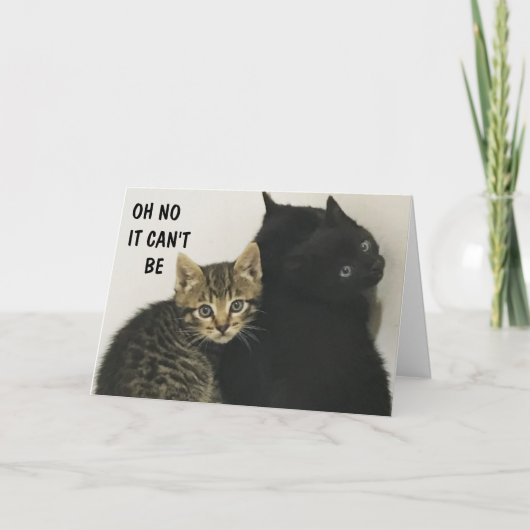 J'AI ENTENDU "VOUS" TOURNER "60" MEOW ! ! ! CARTE (Devant)