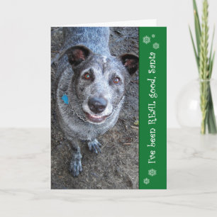 J'ai été de VRAIES bonnes cartes de Noël de Père