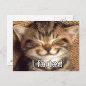 J'ai mis une carte postale de chaton (Devant / Derrière)