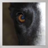 J'ai mon oeil sur toi - Poster (Devant)