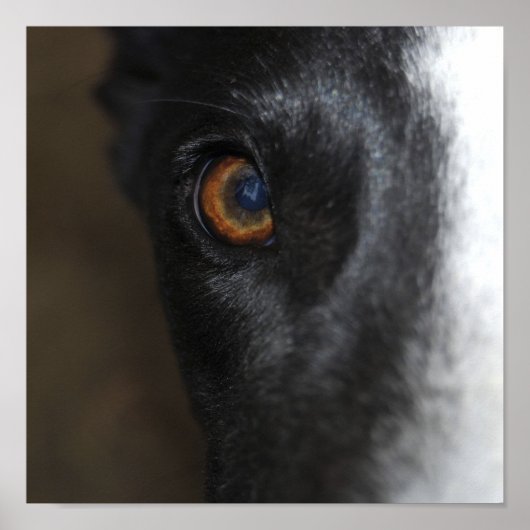 J'ai mon oeil sur toi - Poster (Devant)