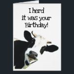 J'ai pensé que c'était ton anniversaire Fun Holste<br><div class="desc">J'ai pensé que c'était votre Humour de vache d'anniversaire amusant et j'espère qu'il vous met dans une bonne humeur. Humour d'anniversaire animal drôle avec un troupeau de vaches. Bonne carte pour quelqu'un qui a le sens de l'humour ou d'un agriculteur</div>