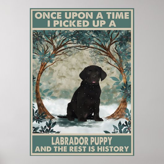 J'ai pris une affiche de chiot du labrador (Devant)