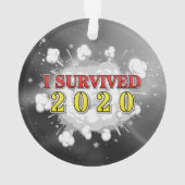 J'ai survécu à l'explosion de 2020 (dos)