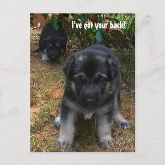 J'ai ton dos ! Carte postale allemande Shepherd Pu