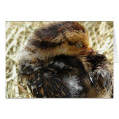 J'ai un problème (Devant horizontal)