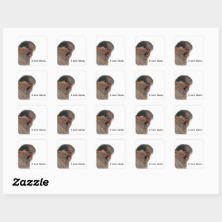 J'ai vu ça. Autocollant de perroquet