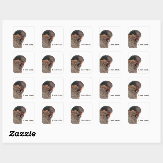 J'ai vu ça. Autocollant de perroquet (Feuille)