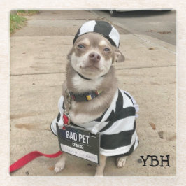 Jail Bird Huey Glazen Onderzetter