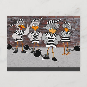 Jailbird Postcard Briefkaart