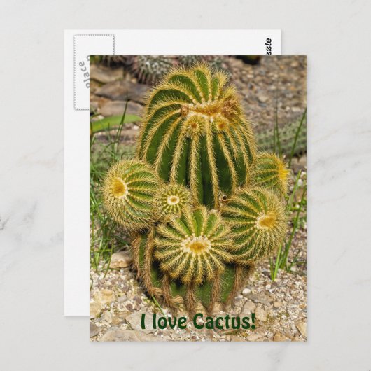J'aime Cactus Carte Postale (Devant / Derrière)