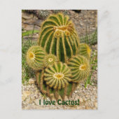 J'aime Cactus Carte Postale (Devant)