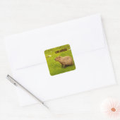 J'aime Capybaras Sticker (Enveloppe)