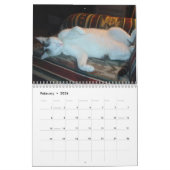 J'aime Chats 😻 Calendrier (Feb 2026)