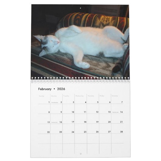 J'aime Chats 😻 Calendrier (Feb 2026)