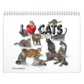 J'aime Chats 😻 Calendrier (Protection)