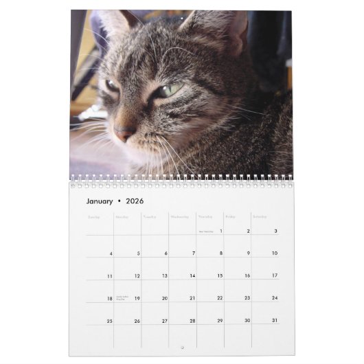 J'aime Chats 😻 Calendrier (Jan 2026)
