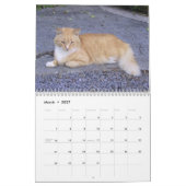 J'aime Chats 😻 Calendrier (Mar 2027)