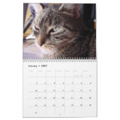 J'aime Chats 😻 Calendrier (Jan 2027)