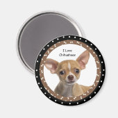 J'aime Chihuahuas 2 Magnet (Recto/Verso)