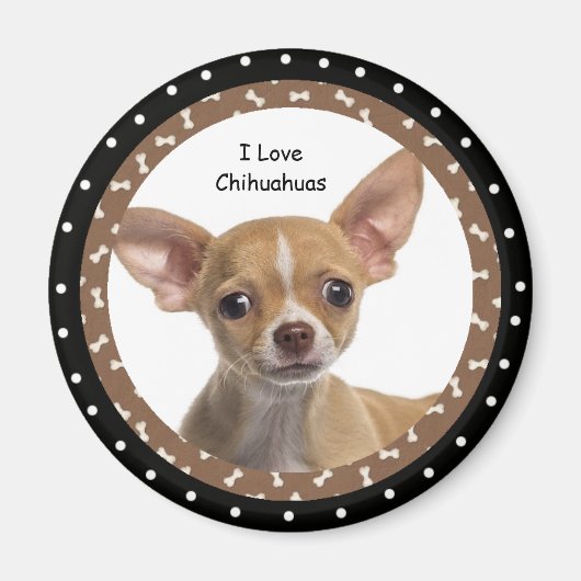 J'aime Chihuahuas 2 Magnet (Devant)