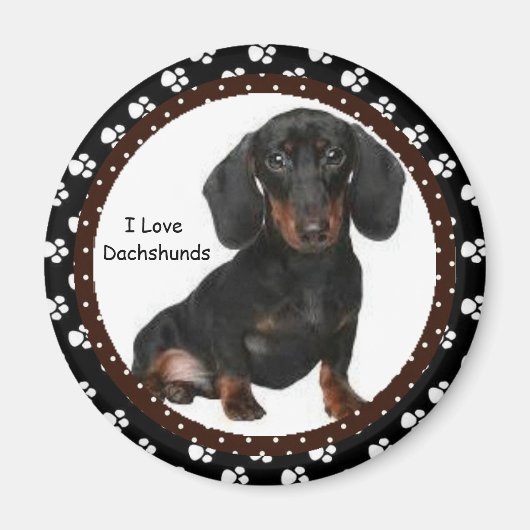J'aime Dachshunds Magnet (Devant)