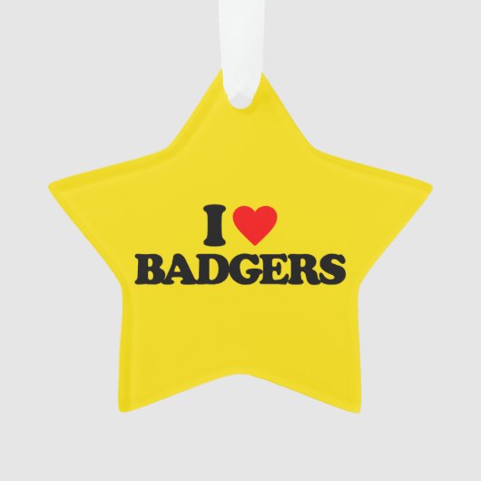 J'AIME DES BLAIREAUX (devant)