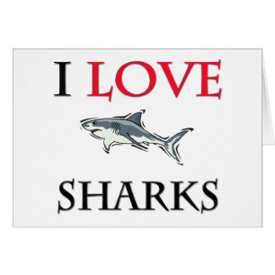 J'aime des requins