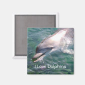 J'aime Dolphins Magnet (Recto/Verso)