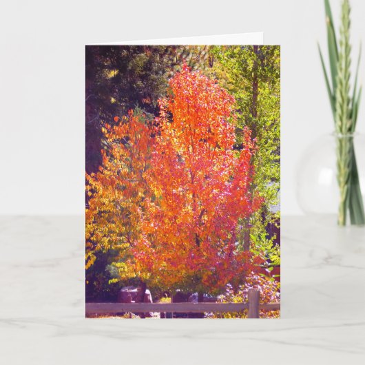 J'aime la carte d'automne (Devant)