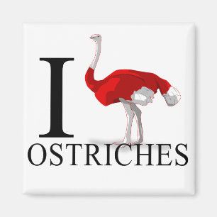 J'aime le magnet d'autruches