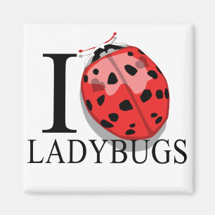 J'aime le magnet de coccinelles