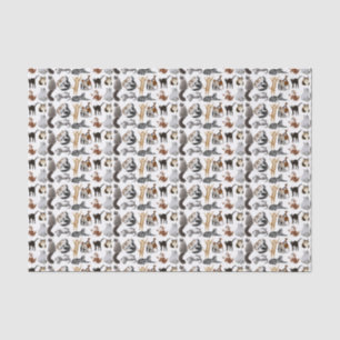 J'aime le papier de soie de soie de chats