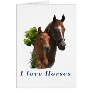 J'aime les chevaux