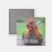 J'Aime Les Poulets... Magnet noir de roo maran en  (Recto/Verso)