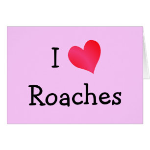 J'Aime Les Roaches