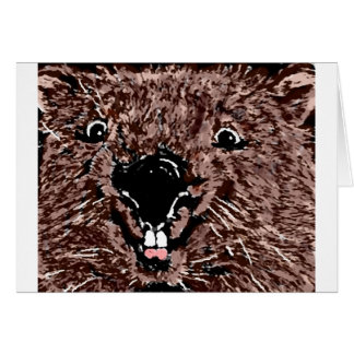 J'AIME LES WOMBATS