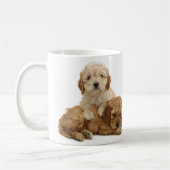 J'aime ma tasse de cockapoo ! (Gauche)