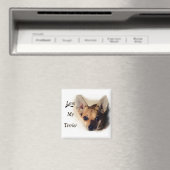 J'aime mon aimant de courrier (In Situ (Lave-vaisselle))