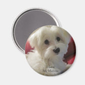 J'Aime Mon Aimant Maltais (Recto/Verso)