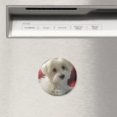 J'Aime Mon Aimant Maltais (In Situ (Lave-vaisselle))