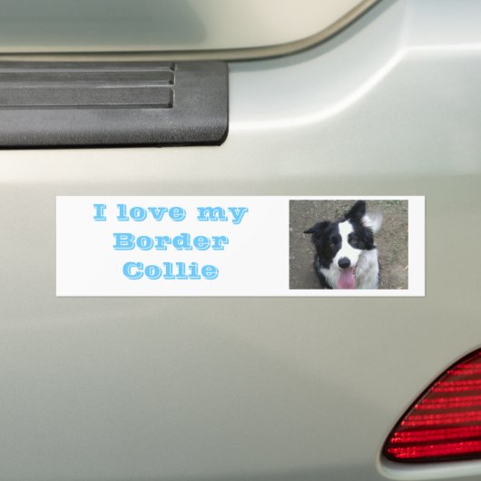 J'aime mon autocollant de border collie Bumber (En voiture)