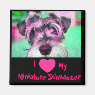 J'Aime Mon Magnet Schnauzer Miniature