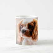 J'aime mon roi cavalier TASSE (Centre)