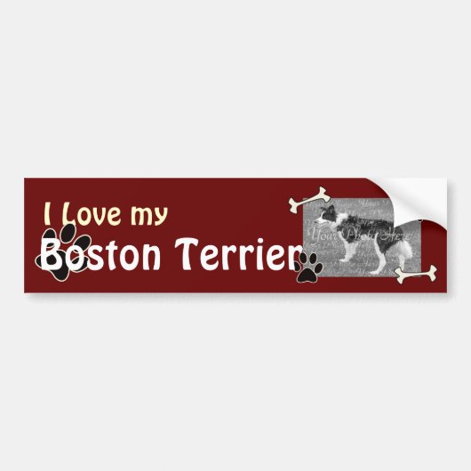 J'aime mon Sticker Bumper Terrier de Boston (Devant)