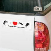 J'Aime Mon Sticker Spaniel Springer Anglais (Sur camion)