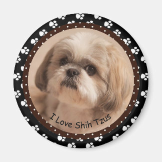 J'aime Shih Tzus Magnet