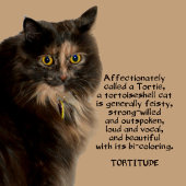 J'aime un chat avec de la tortitude photographique